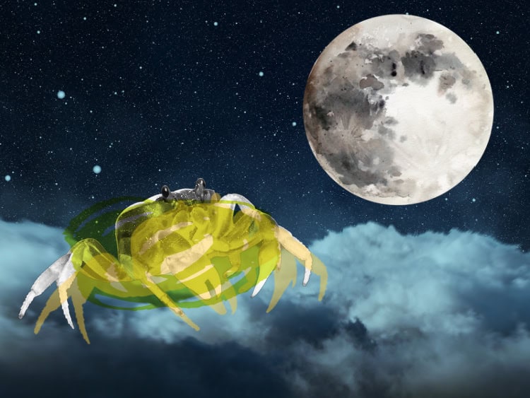 Luna Plină în Rac 2025 - și Citiri Tarot pentru fiecare Zodie